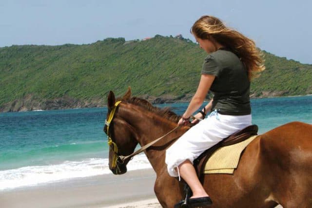 st lucia horse back riding